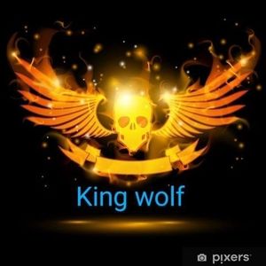 Meet your Posher, Kingwolf